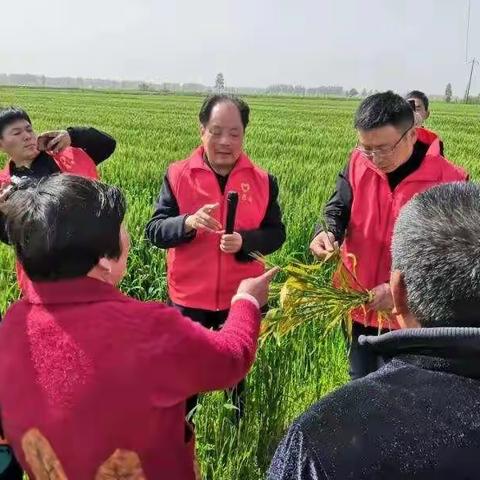 学党史牢记为民初心   办实事厚植人民情怀——淮滨县中等职业学校赴贺店村开展为人民办实事活动