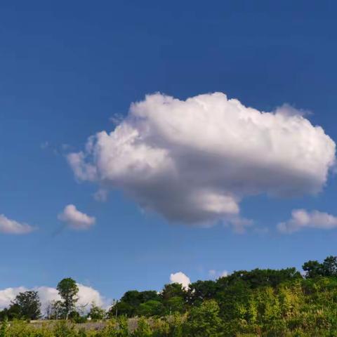 云朵，是天空写的诗。——龙川一（3）班活动