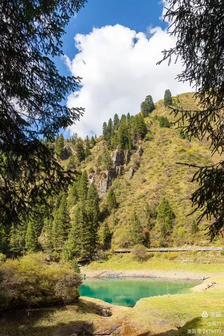 牟尼沟天气在线