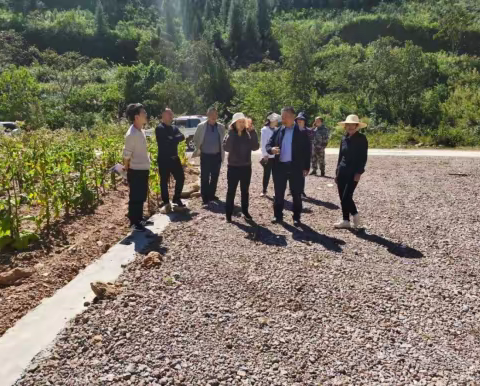 众人拾禾着金甲 计不旋踵奏凯旋﻿——广南县城乡建设用地增减挂跨省交易项目工作纪实