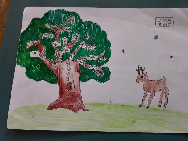 这是孩子们看《驯鹿六季》后做的思维导图