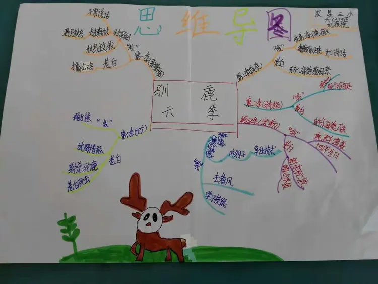 这是孩子们看《驯鹿六季》后做的思维导图