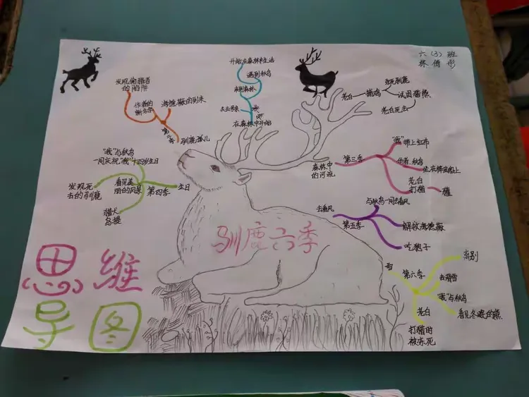 这是孩子们看《驯鹿六季》后做的思维导图