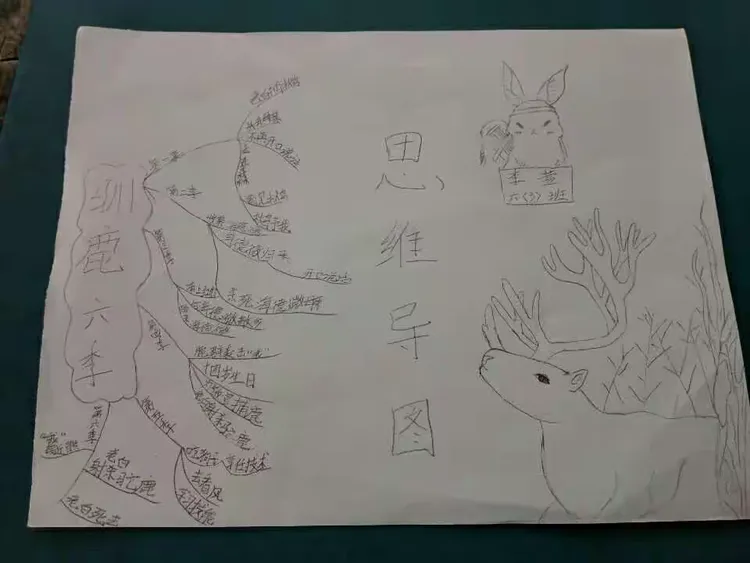 这是孩子们看《驯鹿六季》后做的思维导图