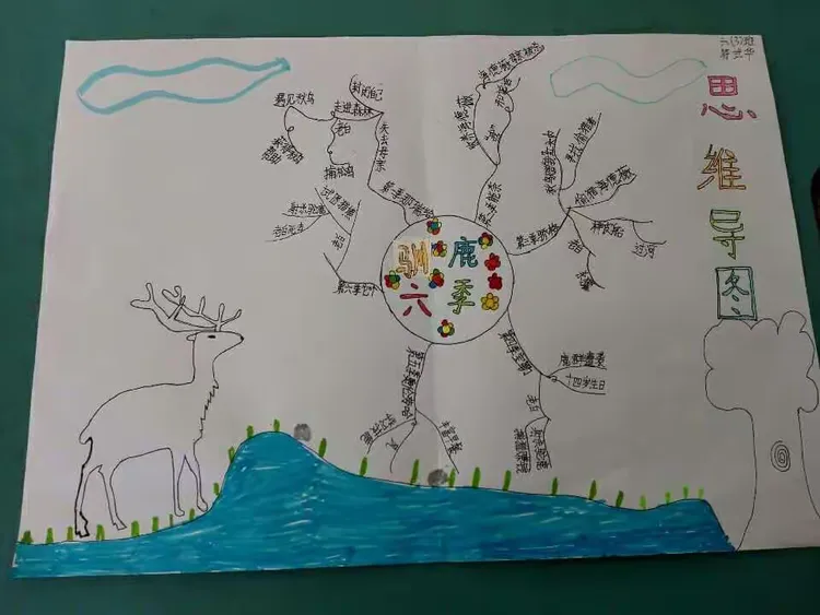 这是孩子们看《驯鹿六季》后做的思维导图