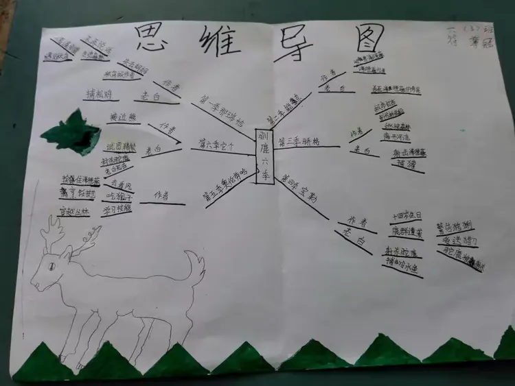 这是孩子们看《驯鹿六季》后做的思维导图