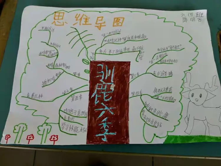这是孩子们看《驯鹿六季》后做的思维导图