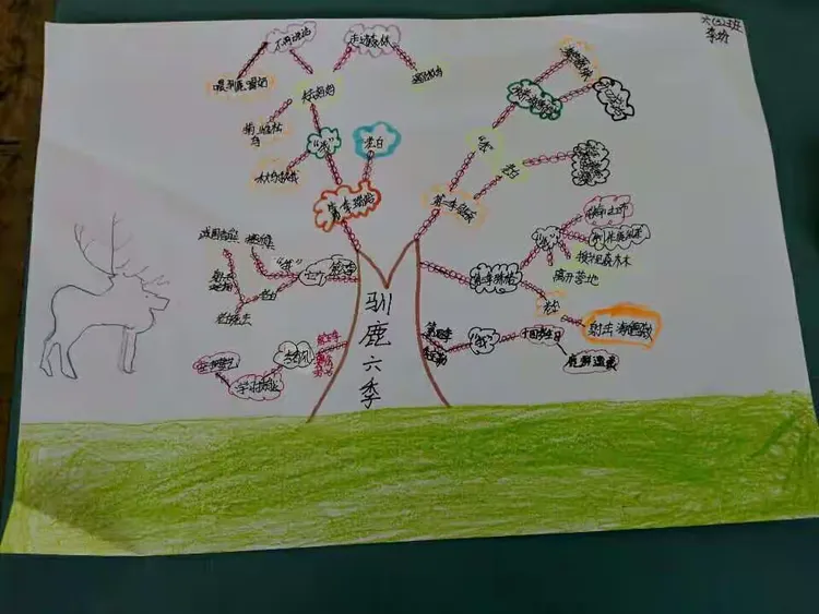 这是孩子们看《驯鹿六季》后做的思维导图