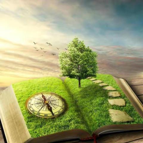 【钟灵•家校】用心培育静待花开——灵武市第一小学三年级六班《不输在家庭教育上》读书沙龙活动纪实