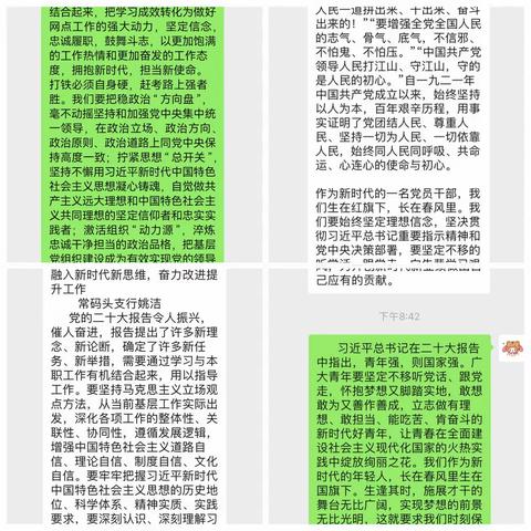 号角已吹响，奋斗正当时——常码头党支部组织党员群众学习贯彻党的二十大会议精神