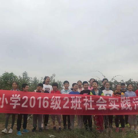 闻韶小学2016级2班，齐远农业社会实践活动。