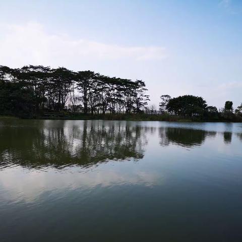 春不走，冬不来