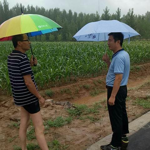 应对连雨天 东漳堡镇防汛防灾在行动