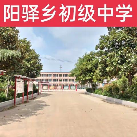 阳驿乡中数学教研活动                                                              期中考试试卷分析