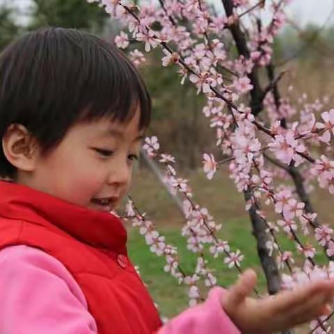 最美人间四月天