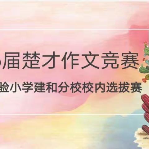 胸藏文墨抒情趣，妙笔生花展才情