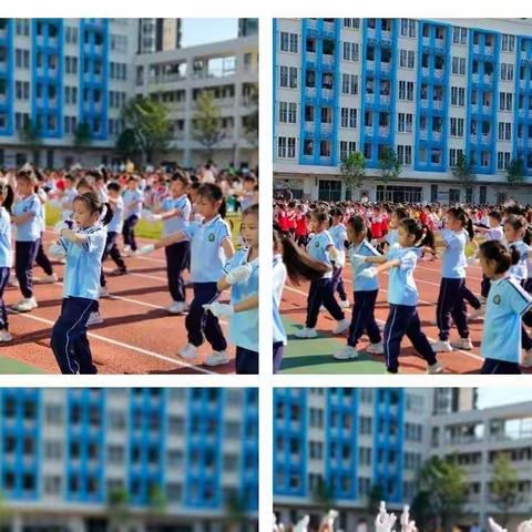 努力的小可爱们！