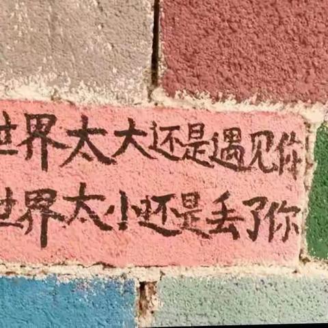 相约版纳