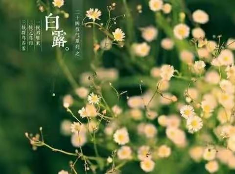 白露未结秋意淡，国培开班学风浓
