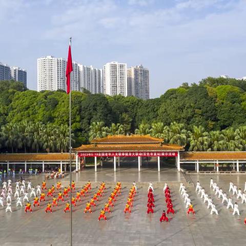 悠悠太极情     银发展英姿