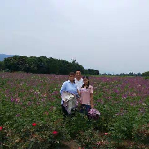 黄柏源，汉中游