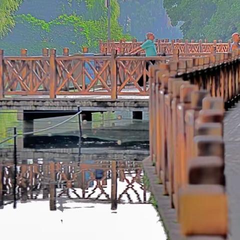 早上又去流花湖公园