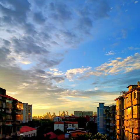 清晨时光（2023.8.11）