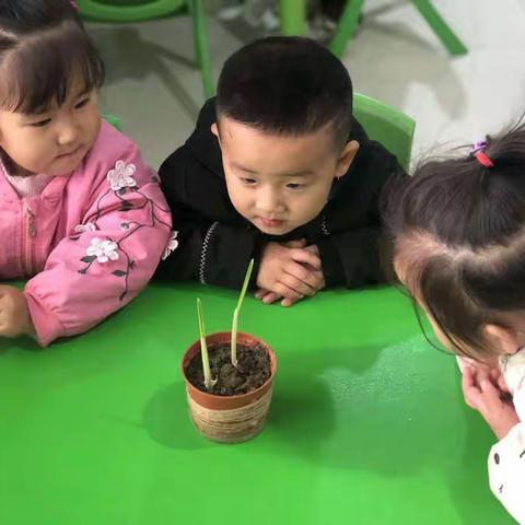 果果班的第8⃣周