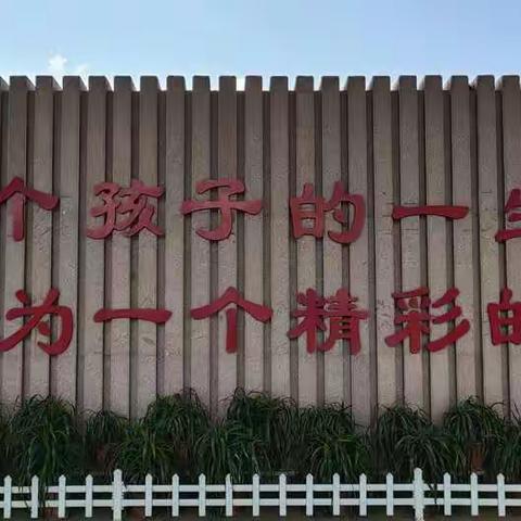 做一棵向日葵，向着阳光向上——记乐知七班第八天学习