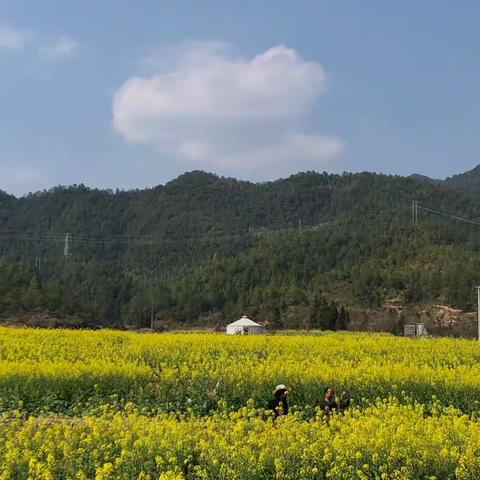 江西龙南乡村游