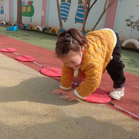 🎉欢乐体智能---向日葵班🌻