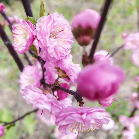 品艺术盛宴 赏艺术芬芳 2019年周至县中小学生幼儿艺术大赛