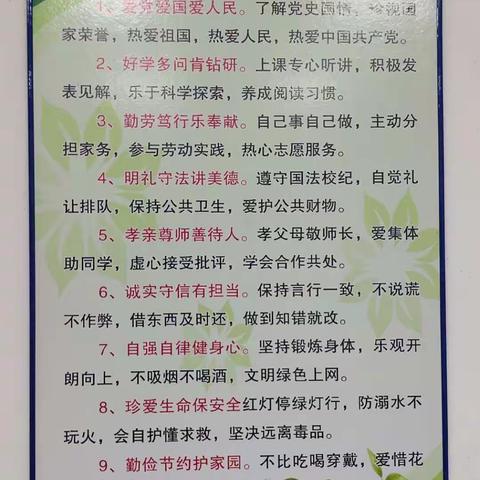 行为规范从我做起——湛江市霞山海景学校学习中小学生守则活动纪实