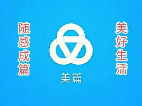 回顾美篇：美好生活 随感成篇
