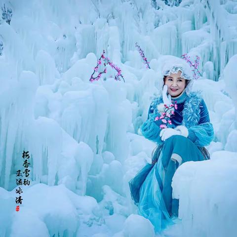 梅香雪韵   玉洁冰清