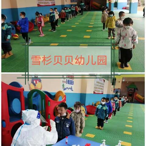 雪杉贝贝幼儿园疫情防控——学前一班核酸检测