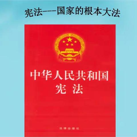 学宪法，讲宪法---五年级八班宪法主题宣传活动