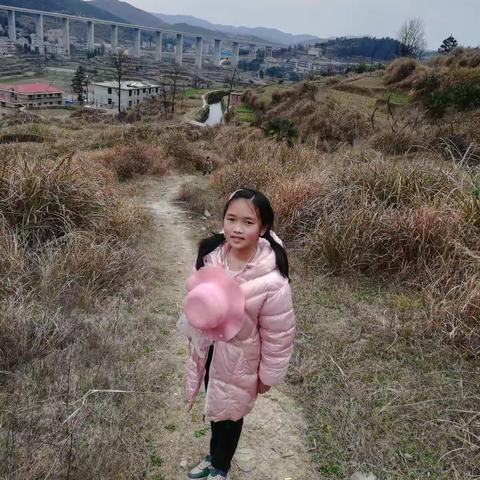 康文情的寒假生活