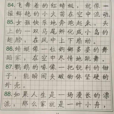 忘忧草的美篇