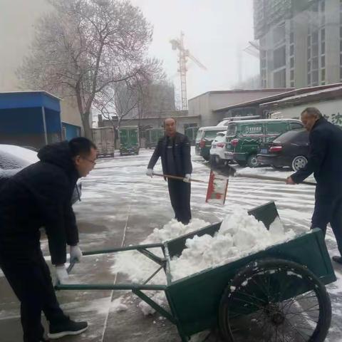 干部职工齐奋战 扫雪除冰暖人心