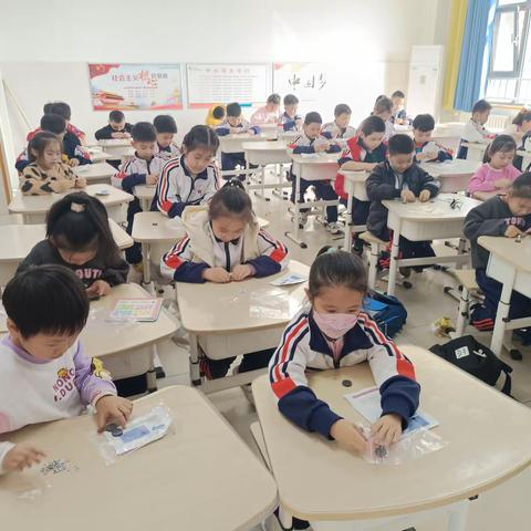 五柳岛小学一年级（7）百变小树