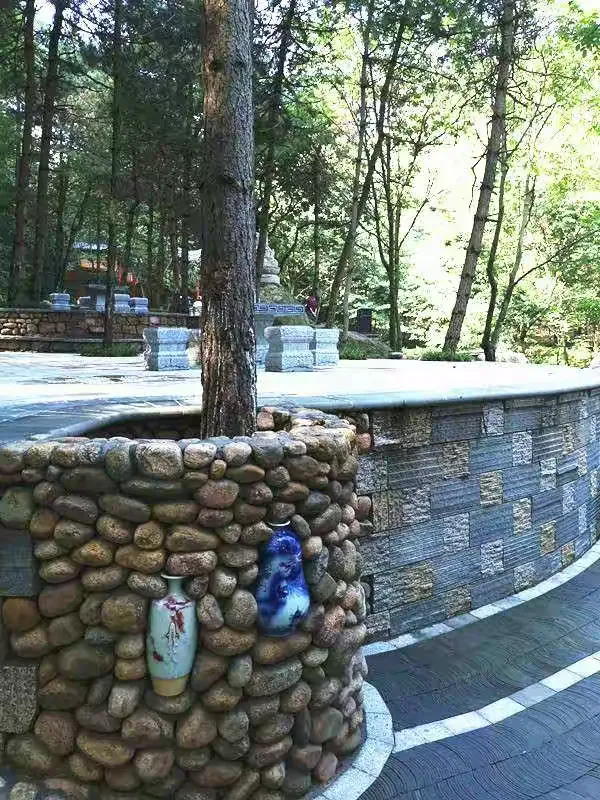 河南嵩县木札岭松林雅居民宿掠影