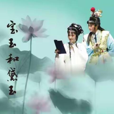 我的红楼我的梦