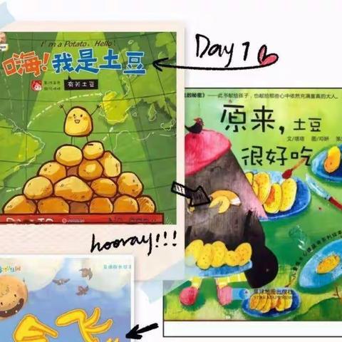 《嗨！土豆先生》—塔耳堡幼儿园大二班生成课程