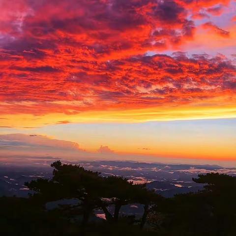 6月24日黄山十级大风，倾盆大雨。傍晚十分天空突变，晚霞、火烧云、云海、彩虹、日落齐上阵，把黄山打扮的徇丽多彩