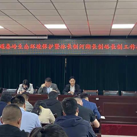 牢记国之大者 当好秦岭卫士丨引镇街道召开秦岭生态环境保护暨林长制河湖长制峪长制工作推进会