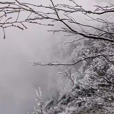 冬雪，纯净之美