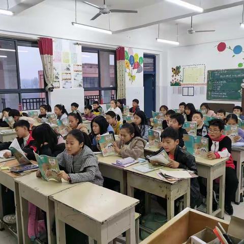 新宇小学六五班第七周活动掠影