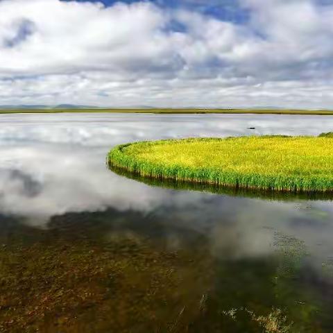 若尔盖花湖--川西瑰丽夺目的绿宝石