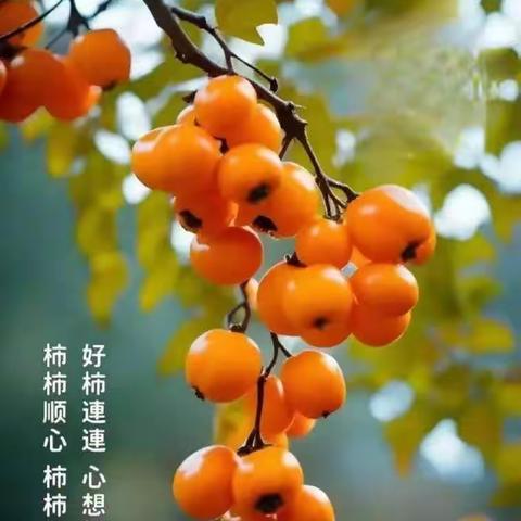 慕意诗情的美篇